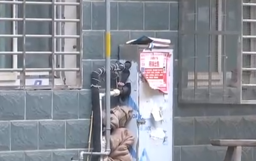 自來水管道保溫電伴熱帶，冬季管道防凍新寵(圖2)